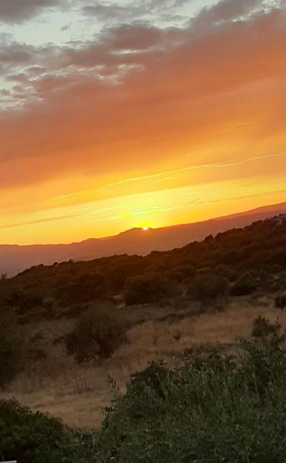 B&B Valverde Dorgali Kültér fotó